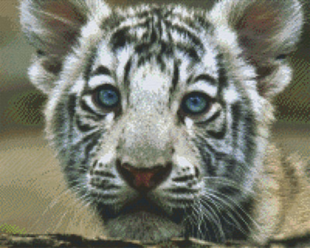 Baby Tiger Sixteen [16] Baseplate PixelHobby Mini-mosaic Art Kit image 0